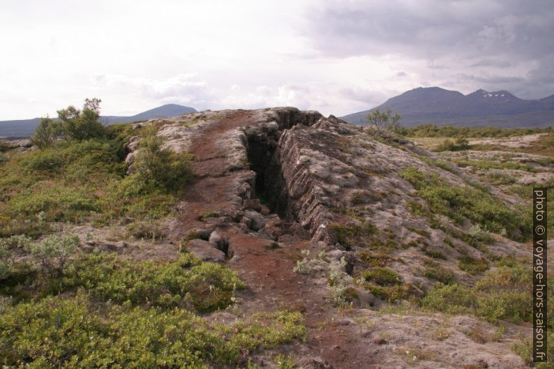 Crevasse de lave dans le Þingvallaskógar. Photo © Alex Medwedeff