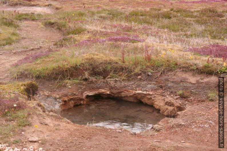 Trou d'eau dans la zone Haukadalur. Photo © André M. Winter