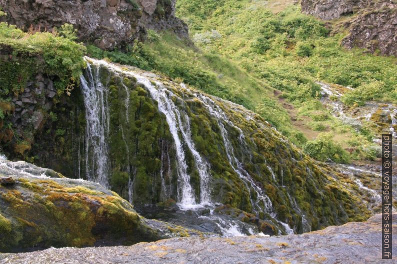 De l'eau passe sur la mousse verte dans les gorges de Gjáin. Photo © André M. Winter