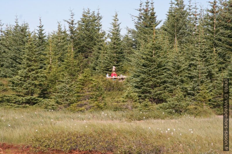 Une table de pique-nique dans la forêt Hofsstaðaskógur. Photo © André M. Winter