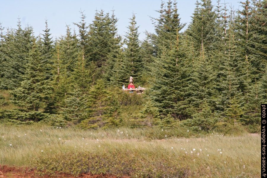 Une table de pique-nique dans la forêt Hofsstaðaskógur. Photo © André M. Winter