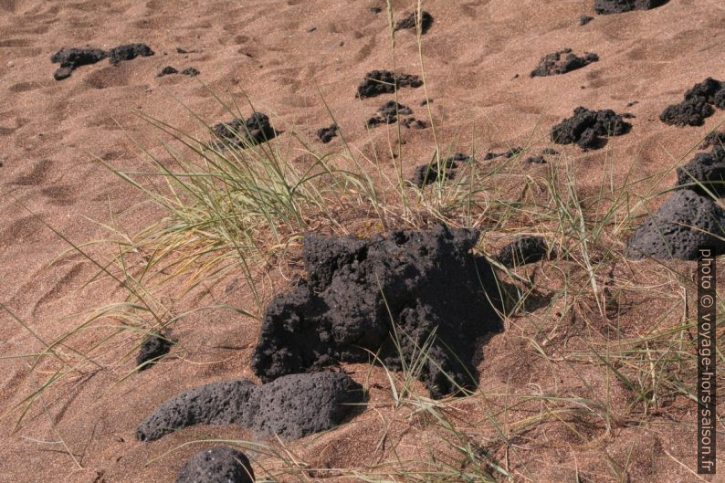 Du sable rouge clair et la lave noire de la baie de Búðavík. Photo © Alex Medwedeff