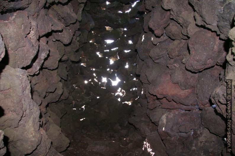 Dans un abri de séchage de poissons à Gufuskálar. Photo © André M. Winter