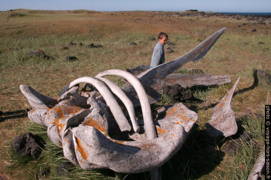 Nicolas et des ossements de baleine à Írokrabrunnur. Photo © André M. Winter