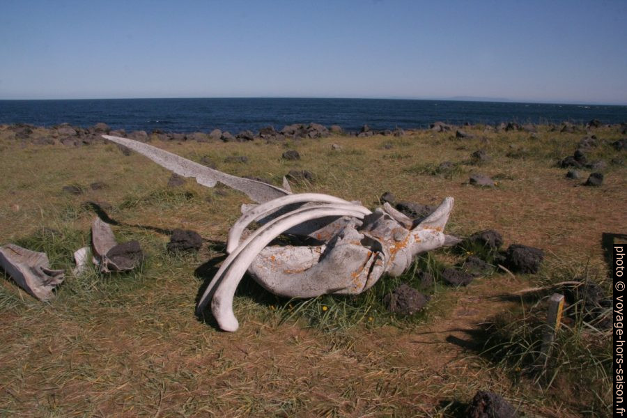 Ossements de baleine à Írokrabrunnur. Photo © André M. Winter