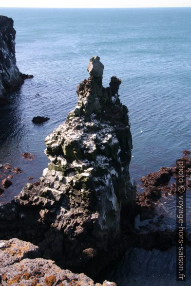 Pic de lave sur la côte de Snæfellsnes. Photo © André M. Winter