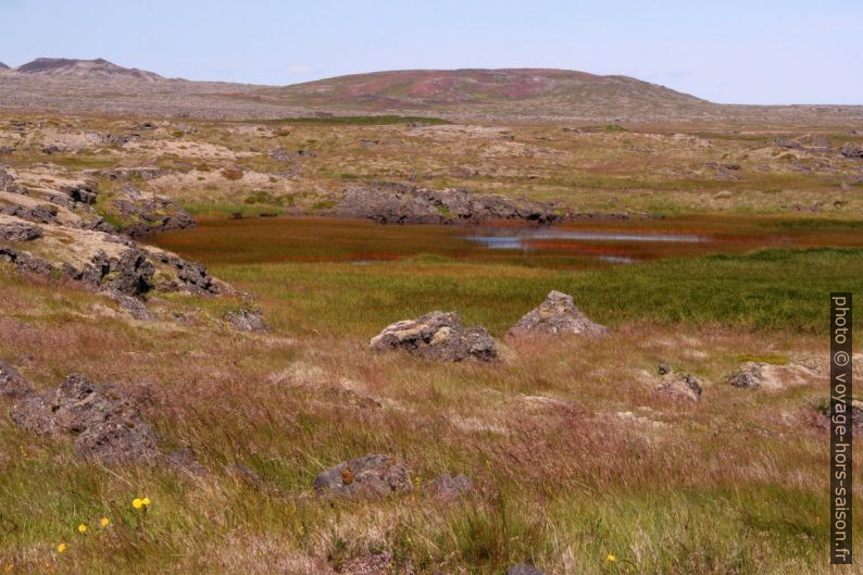 Marais et des cratères de Öndverðarneshólar. Photo © André M. Winter