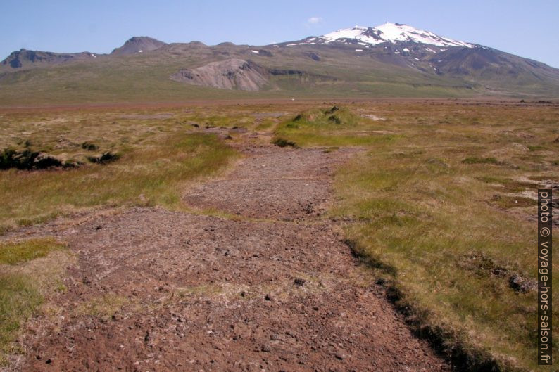 Bande de lave et le Snæfellsjökull. Photo © André M. Winter