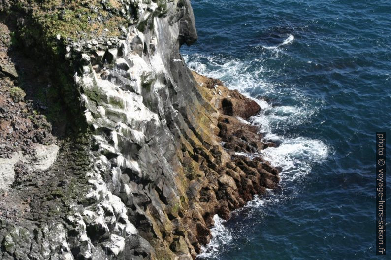 Orgues basaltiques à Þúfubjarg. Photo © André M. Winter