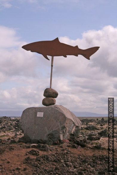 Poteau indicateur en forme de requin pour la ferme Bjarnarhöfn. Photo © André M. Winter