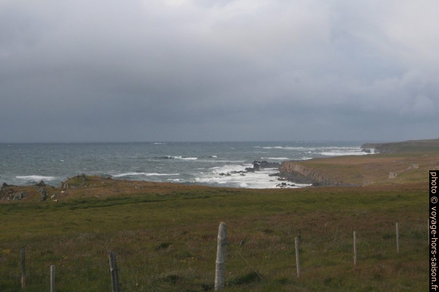 Côte ouest de la presqu'île de Vatnsnes sous le vent. Photo © André M. Winter