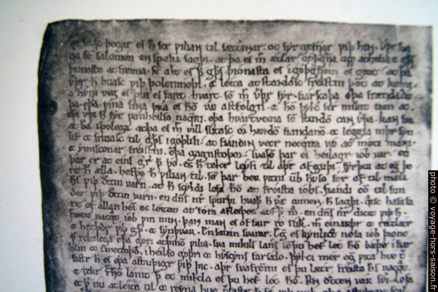 Page du Homiliu-bók. Photo © André M. Winter