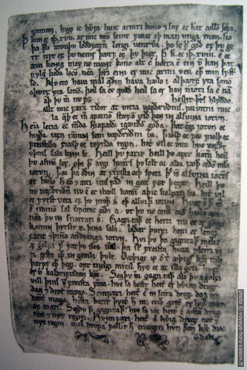 Page du Codex Regius de l'Ancien Edda. Photo © André M. Winter
