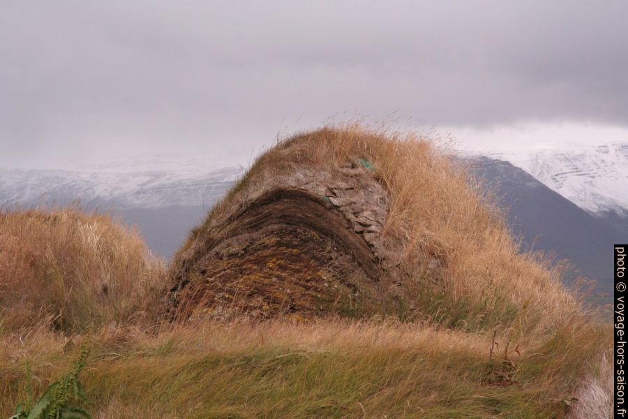 Toit couvert de gazon de tourbe à Glaumbær. Photo © André M. Winter