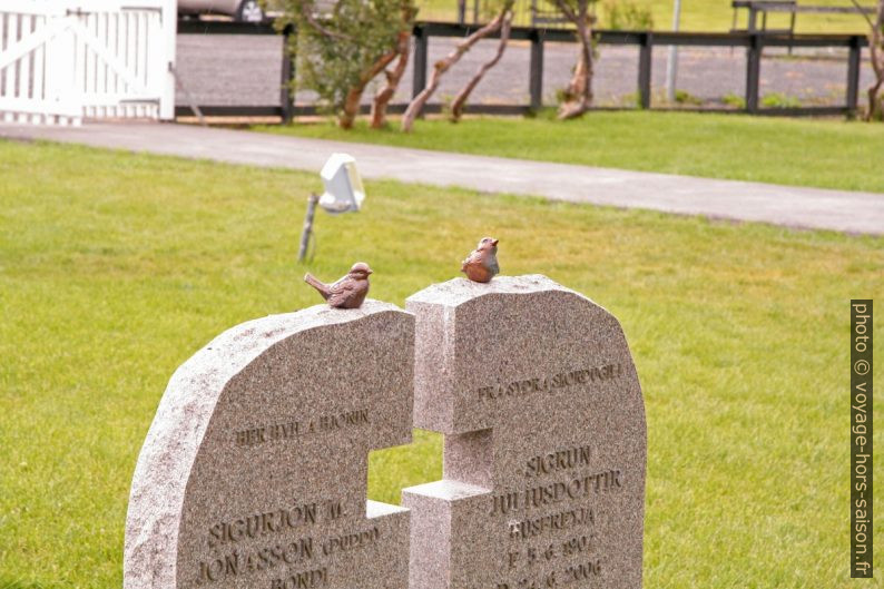 Tombe avec deux oiseaux. Photo © Alex Medwedeff