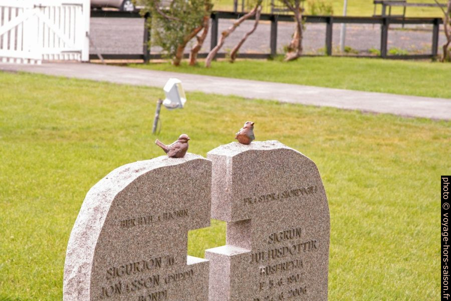 Tombe avec deux oiseaux. Photo © Alex Medwedeff