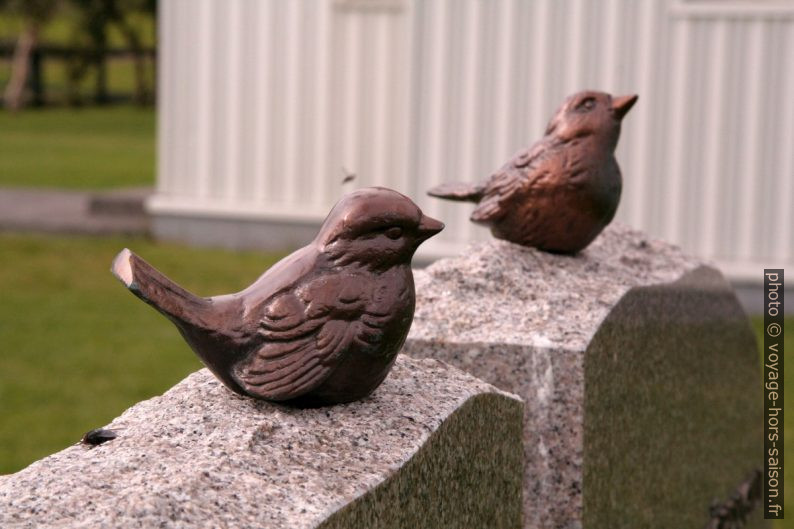 Oiseaux sur une pierre tombale. Photo © Alex Medwedeff