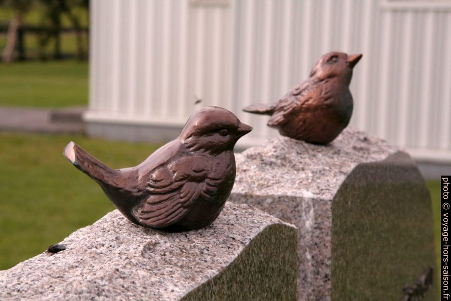 Oiseaux sur une pierre tombale. Photo © Alex Medwedeff