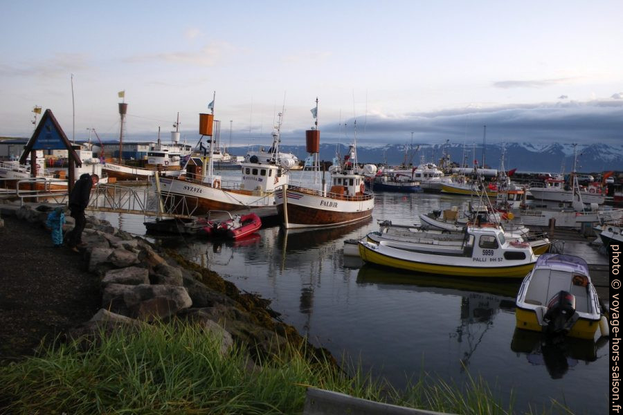 Bateaux d'observation de baleines dans le port de Húsavík. Photo © André M. Winter