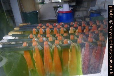 Filets de saumon préparés pour être fumés à la tourbe. Photo © André M. Winter