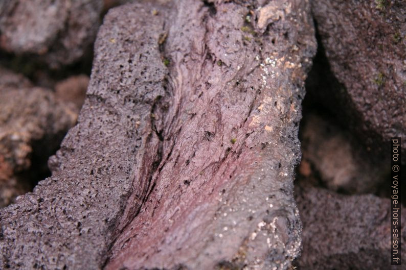 Détail de lave rouge dans le Leirhnjúkshraun. Photo © André M. Winter