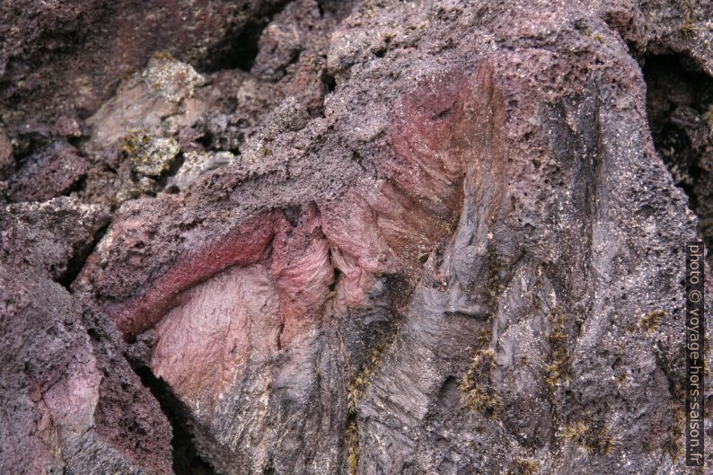 Détail de lave rouge dans le Leirhnjúkshraun. Photo © André M. Winter