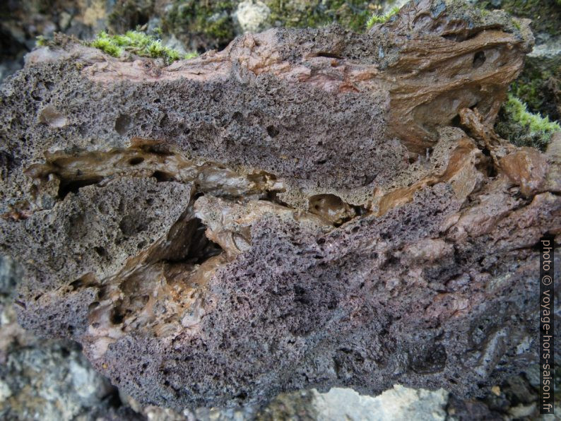 Détail de lave brune dans le Leirhnjúkshraun. Photo © André M. Winter
