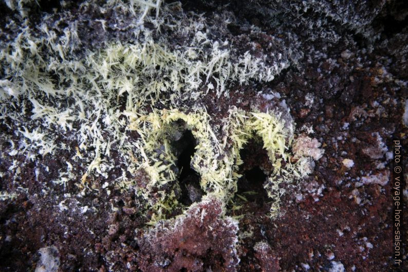 Cristaux de soufre dans le Leirhnjúkshraun. Photo © André M. Winter