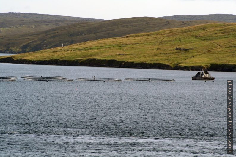 Pisciculture de pleine mer entre Firth Ness et Linga. Photo © André M. Winter