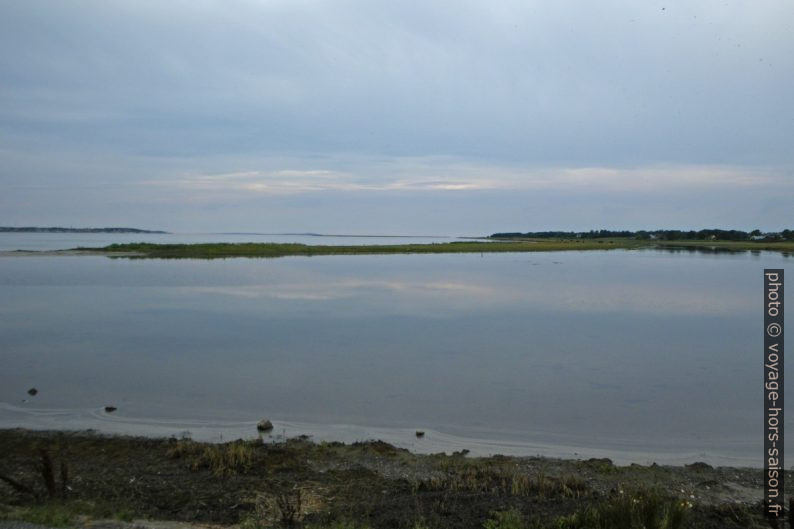 Lengholm, Løgstør Bredning. Photo © André M. Winter