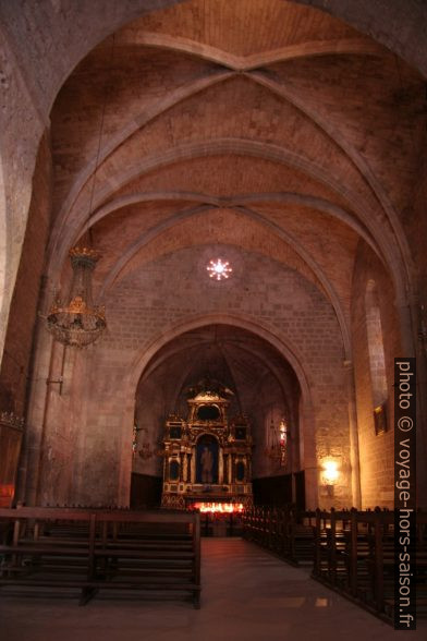 Nef de Notre-Dame de Beauvoir à Moustiers. Photo © André M. Winter