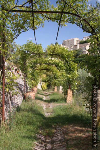 Chemin couvert à Gordes. Photo © Alex Medwedeff