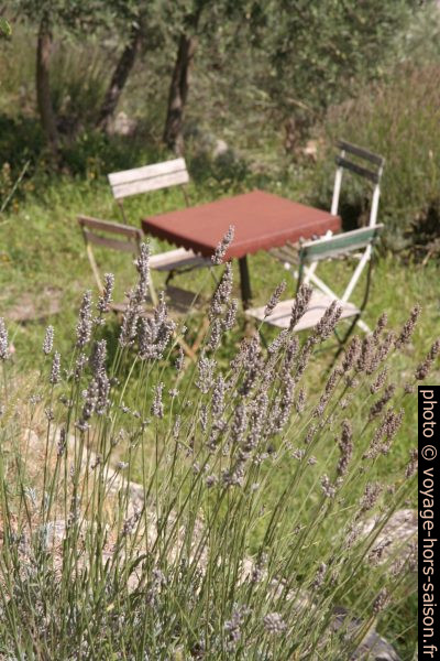 Lavande devant petite table et quatre chaises métalliques. Photo © Alex Medwedeff