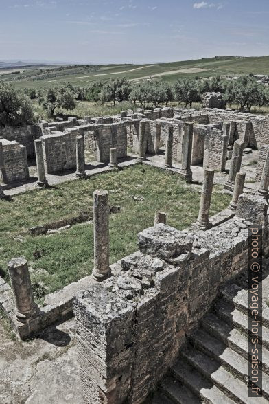 Colonnes de la Villa du Trifolium à Dougga. Photo CCSA2 Wikimédia Dennis Jarvis