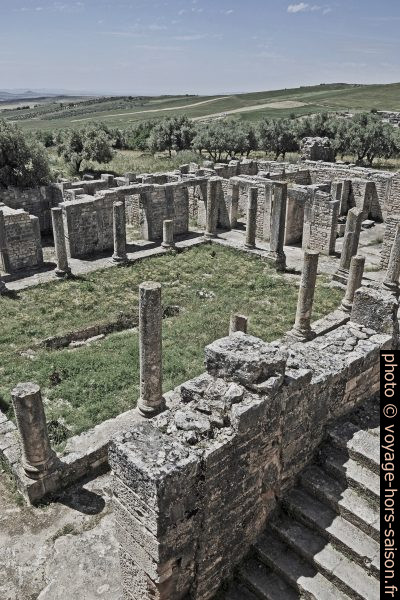 Colonnes de la Villa du Trifolium à Dougga. Photo CCSA2 Wikimédia Dennis Jarvis