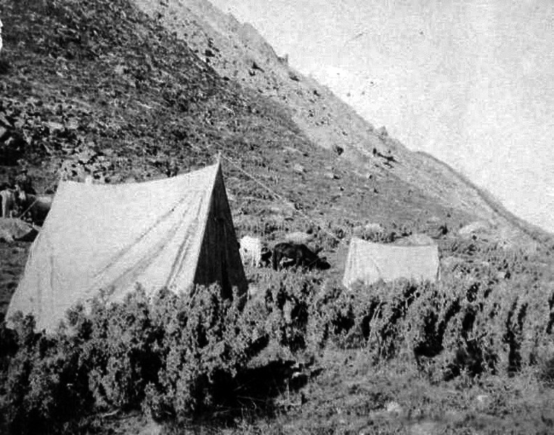 Camp au milieu des buissons de téo-goïrouks sur la moraine du glacier de Kaënde. Photo CCNCSA Jules Brocherel, Società Geografica Italiana Onlus