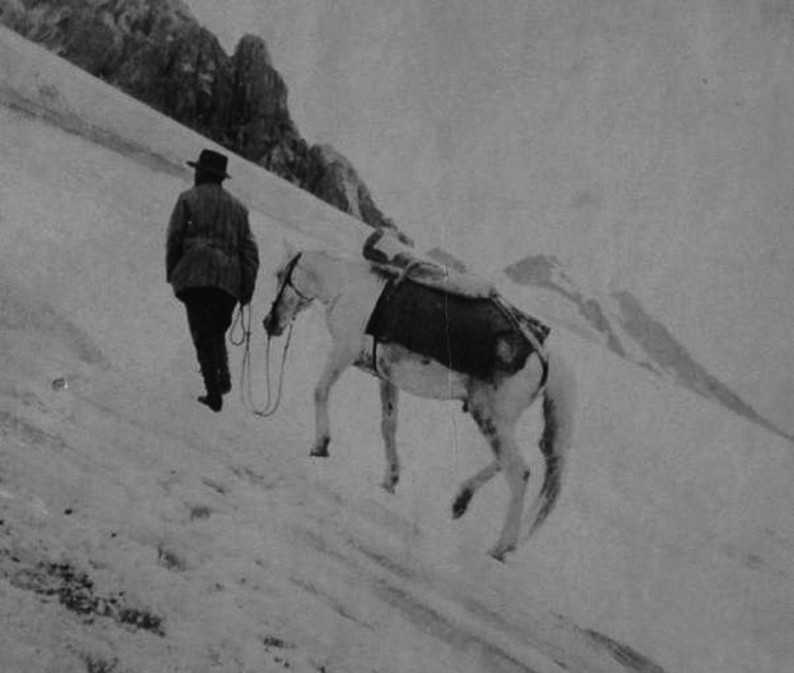 Un cheval kirghize passe sur un glacier en pente. Photo CCNCSA Jules Brocherel, Società Geografica Italiana Onlus
