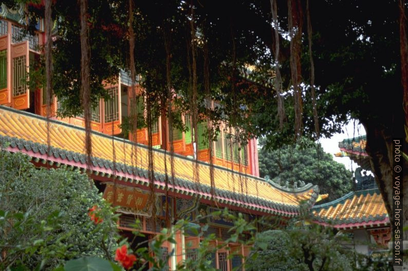 Dans le complexe du temple Ching Chung Koon. Photo © Alex Medwedeff