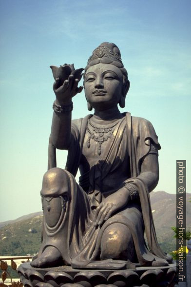 Soupirante du Buddha de Tian Tan avec fleur de lotus . Photo © André M. Winter