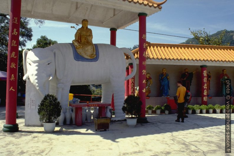 Éléphant blanc avec un Buddha. Photo © André M. Winter