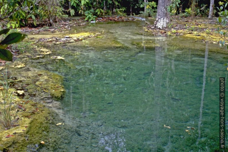 Bassin d'eau claire à Khlong Thom. Photo © Alex Medwedeff