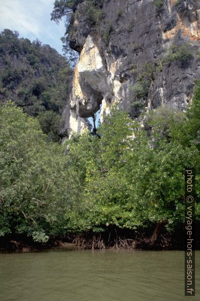 Arche naturelle au-dessus des mangroves d'Ao Luk. Photo © Alex Medwedeff