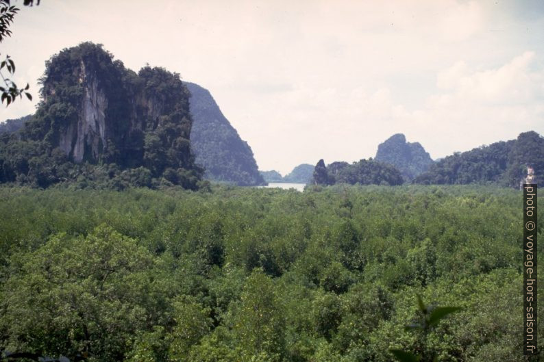 Mangroves et dômes karstiques d'Ao Luk. Photo © Alex Medwedeff