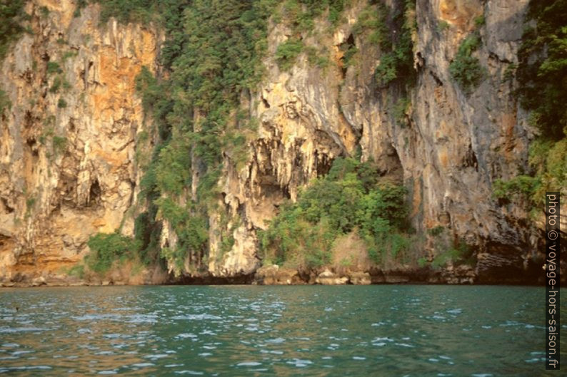 Stalactites en bord de mer. Photo © André M. Winter