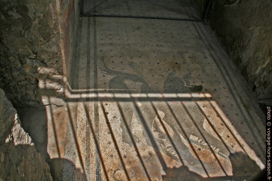 Mosaïque Cave Canem. Photo © André M. Winter