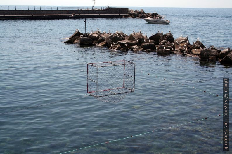 Cage de water-polo dans le port d'Amalfi. Photo © André M. Winter