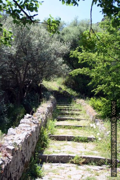 Escalier vers Pogèrola. Photo © André M. Winter