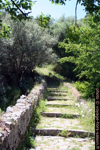Escalier vers Pogèrola. Photo © André M. Winter