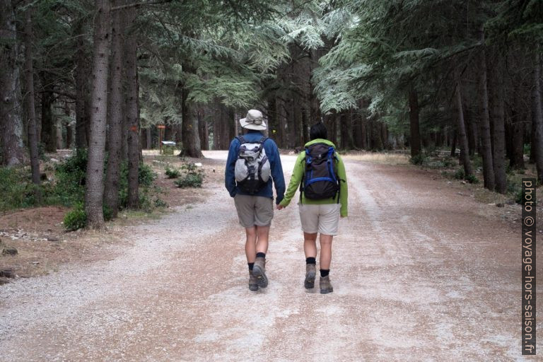 André et Alex dans la Foret de Cédres du Petit Luberon. Photo © Veronika Schnablegger