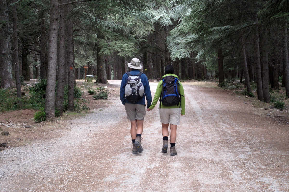André et Alex dans la Foret de Cédres du Petit Luberon. Photo © Veronika Schnablegger